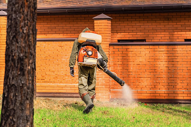 Trusted Termite Control service in Nags Head, NC - Nex Pest Control